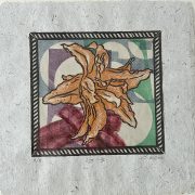 Hemerocallis Daylily-50per